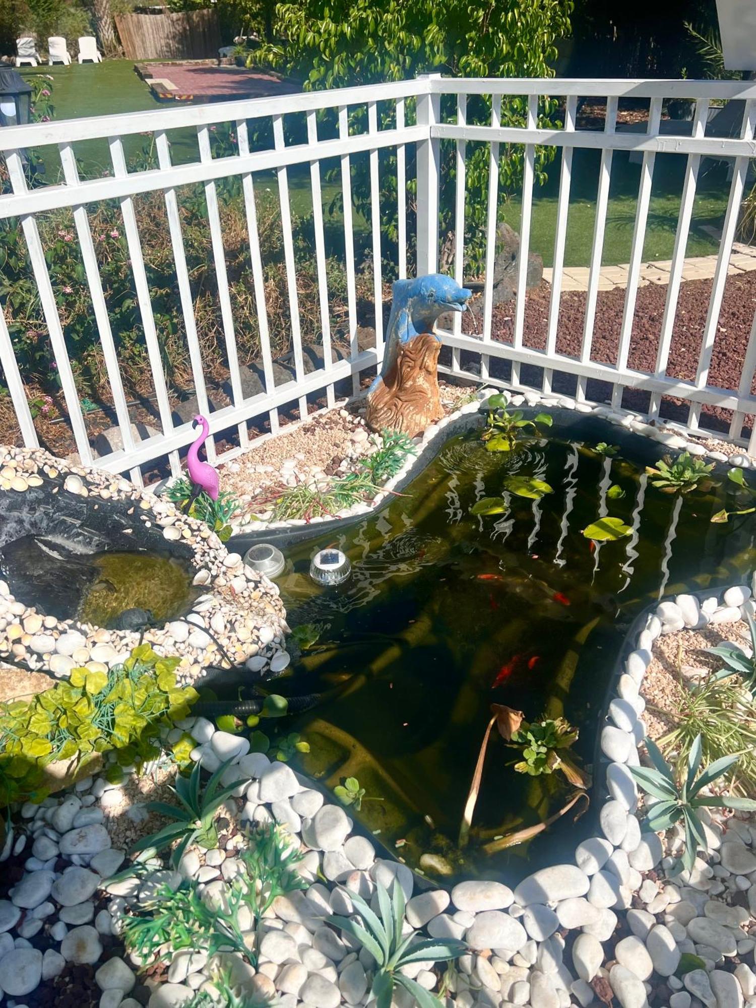 Magical In The Galilee Motel Qiryat Shemona Exterior foto